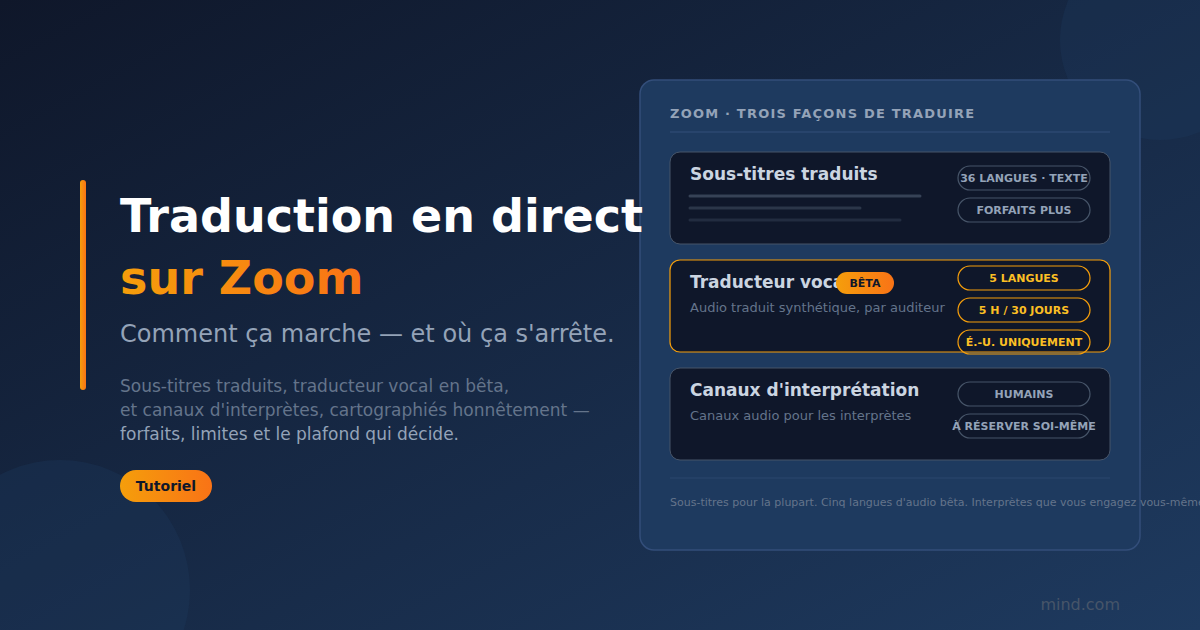 Traduction en direct Zoom : comment ça marche et où ça s'arrête